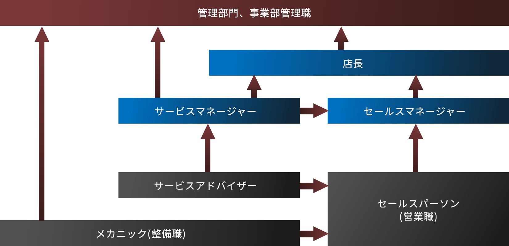 営業系 新入社員教育→営業/事務/メカニック→セールスマネージャー→店長orサービスマネージャー→事業部長 管理系 新入社員教育→スタッフ→主任→係長→課長→次長→部長